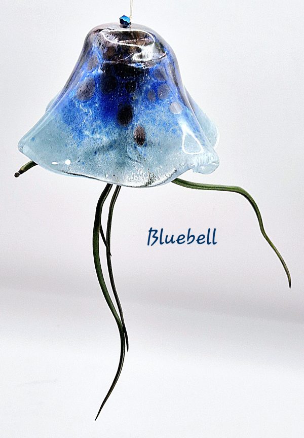 Bluebell the small Jellyfish