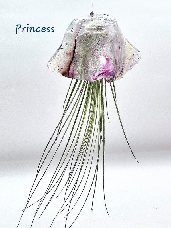 Princess the large Jellyfish