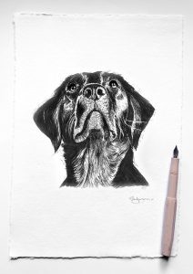 Beautiful Limited Edition, Hand-signed prints, taken from my original Pen & Ink dog Portrait drawings