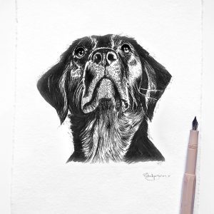 Beautiful Limited Edition, Hand-signed prints, taken from my original Pen & Ink dog Portrait drawings