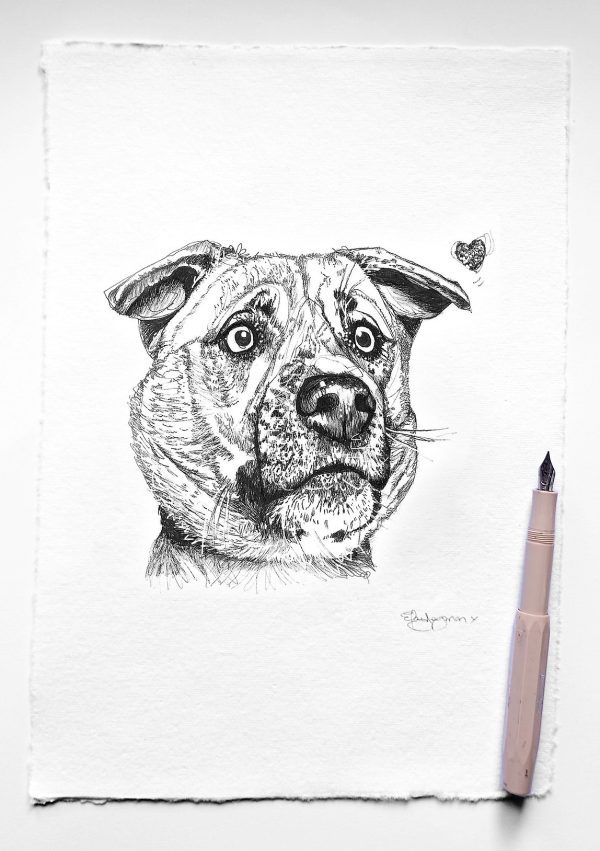 Beautiful Limited Edition, Hand-signed prints, taken from my original Pen & Ink dog Portrait drawings