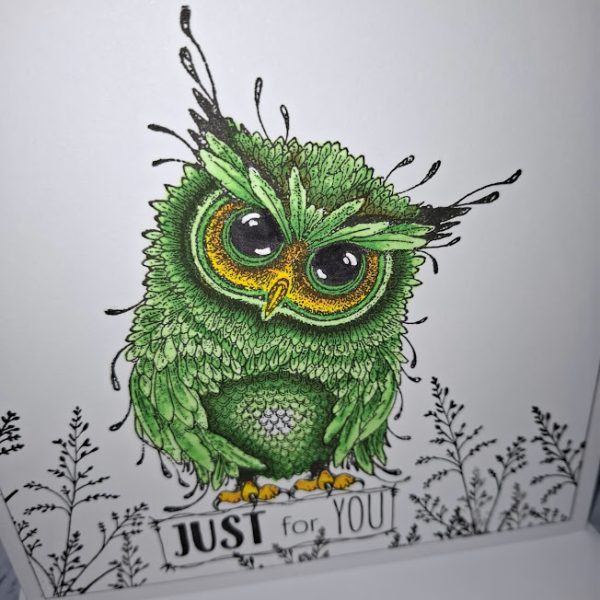 Just for You Card ( green owl ) - Image 2