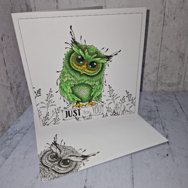 Just for You Card ( green owl )