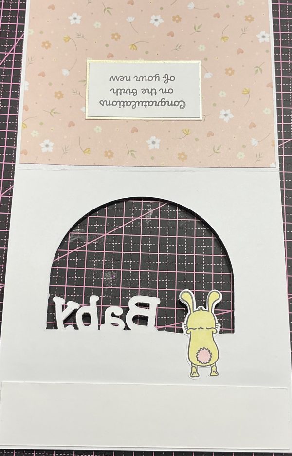 Peekaboo baby girl card - Image 5